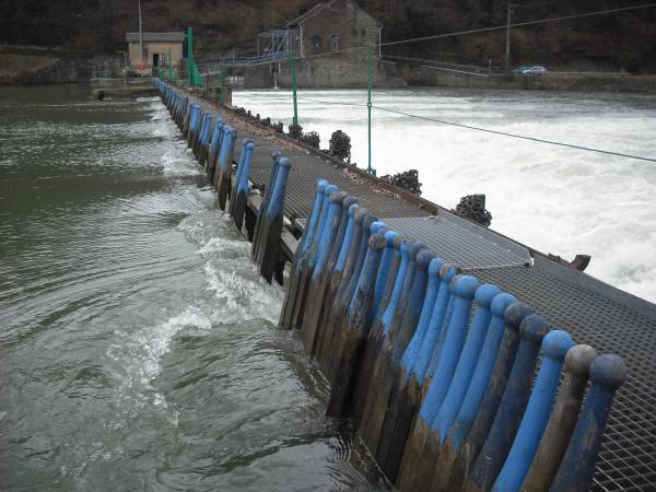 Barrage à aiguilles sur la Meuse